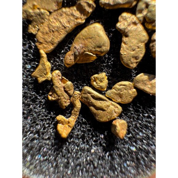 California Gold Nuggets in Display Case - 1.90 grams - Picture 6 of 7